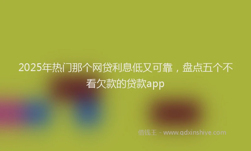 2025年热门那个网贷利息低又可靠，盘点五个不看欠款的贷款app
