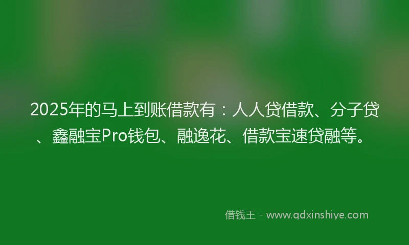 2025年的马上到账借款有：人人贷借款、分子贷、鑫融宝Pro钱包、融逸花、借款宝速贷融等。