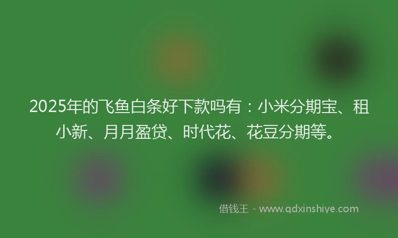 2025年的飞鱼白条好下款吗有：小米分期宝、租小新、月月盈贷、时代花、花豆分期等。