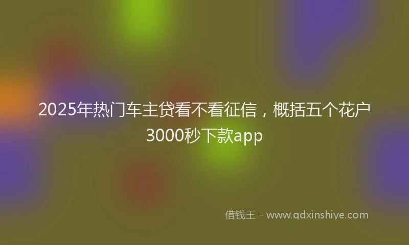 2025年热门车主贷看不看征信，概括五个花户3000秒下款app