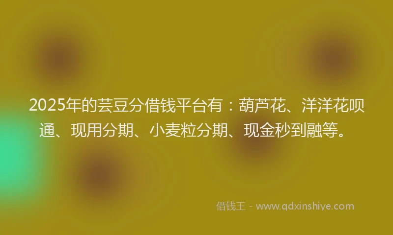 2025年的芸豆分借钱平台有：葫芦花、洋洋花呗通、现用分期、小麦粒分期、现金秒到融等。