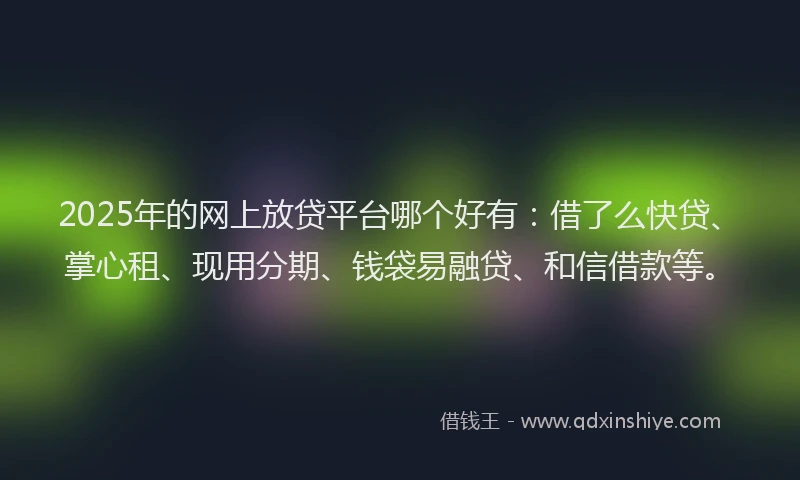 2025年的网上放贷平台哪个好有：借了么快贷、掌心租、现用分期、钱袋易融贷、和信借款等。