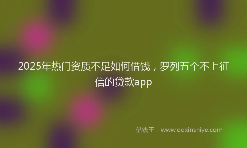 2025年热门资质不足如何借钱，罗列五个不上征信的贷款app