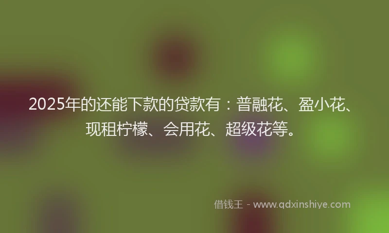 2025年的还能下款的贷款有：普融花、盈小花、现租柠檬、会用花、超级花等。