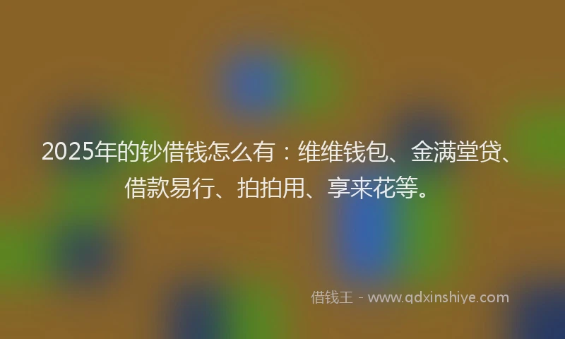 2025年的钞借钱怎么有：维维钱包、金满堂贷、借款易行、拍拍用、享来花等。