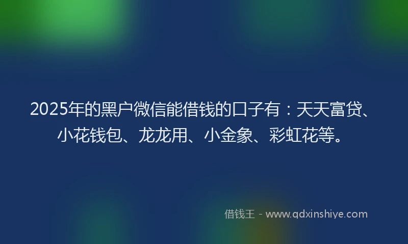 2025年的黑户微信能借钱的口子有：天天富贷、小花钱包、龙龙用、小金象、彩虹花等。