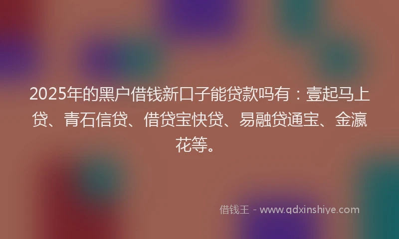 2025年的黑户借钱新口子能贷款吗有：壹起马上贷、青石信贷、借贷宝快贷、易融贷通宝、金瀛花等。