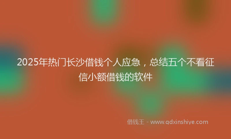 2025年热门长沙借钱个人应急，总结五个不看征信小额借钱的软件