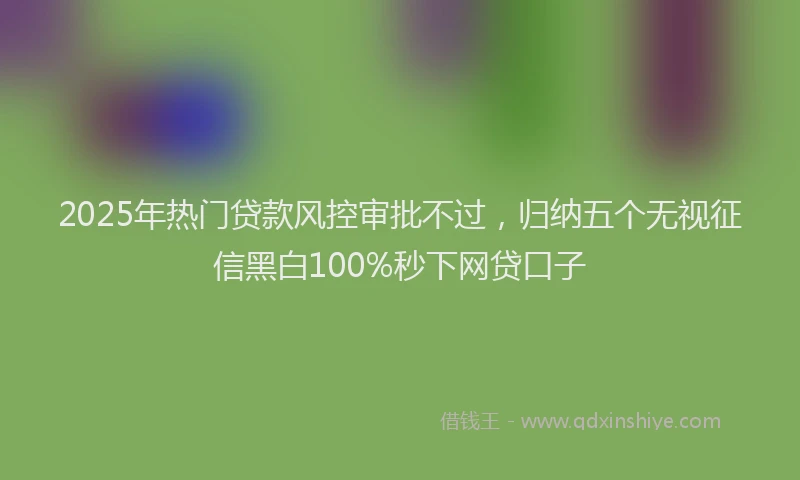 2025年热门贷款风控审批不过，归纳五个无视征信黑白100%秒下网贷口子
