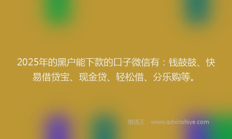 2025年的黑户能下款的口子微信有：钱鼓鼓、快易借贷宝、现金贷、轻松借、分乐购等。