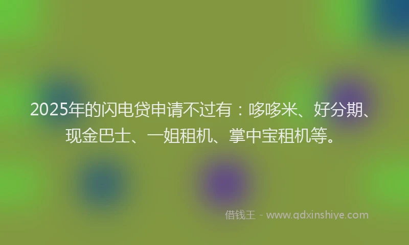 2025年的闪电贷申请不过有：哆哆米、好分期、现金巴士、一姐租机、掌中宝租机等。