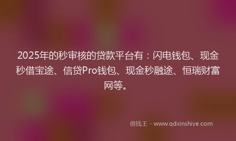 2025年的秒审核的贷款平台有：闪电钱包、现金秒借宝途、信贷Pro钱包、现金秒融途、恒瑞财富网等。