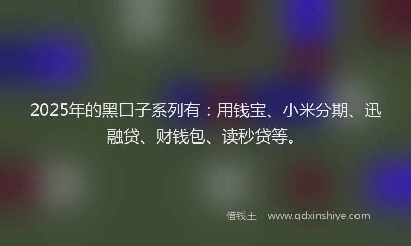 2025年的黑口子系列有：用钱宝、小米分期、迅融贷、财钱包、读秒贷等。