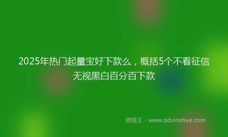 2025年热门起量宝好下款么，概括5个不看征信无视黑白百分百下款