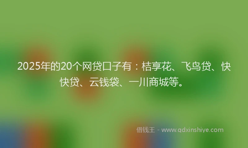 2025年的20个网贷口子有：桔享花、飞鸟贷、快快贷、云钱袋、一川商城等。