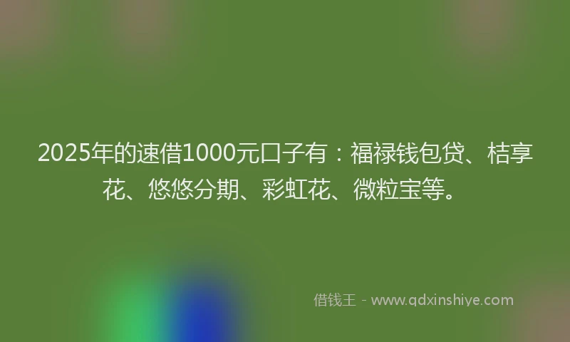 2025年的速借1000元口子有：福禄钱包贷、桔享花、悠悠分期、彩虹花、微粒宝等。