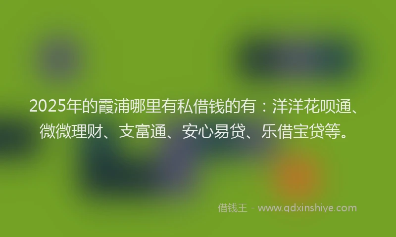 2025年的霞浦哪里有私借钱的有：洋洋花呗通、微微理财、支富通、安心易贷、乐借宝贷等。