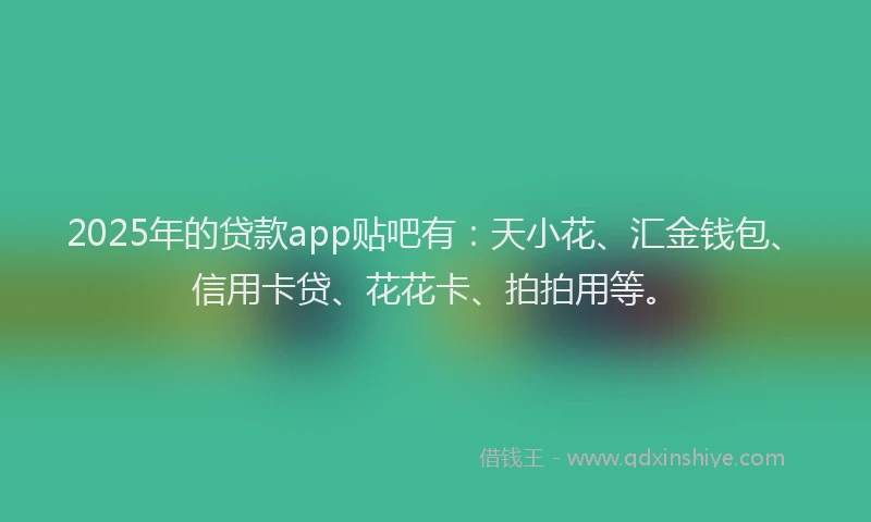 2025年的贷款app贴吧有：天小花、汇金钱包、信用卡贷、花花卡、拍拍用等。