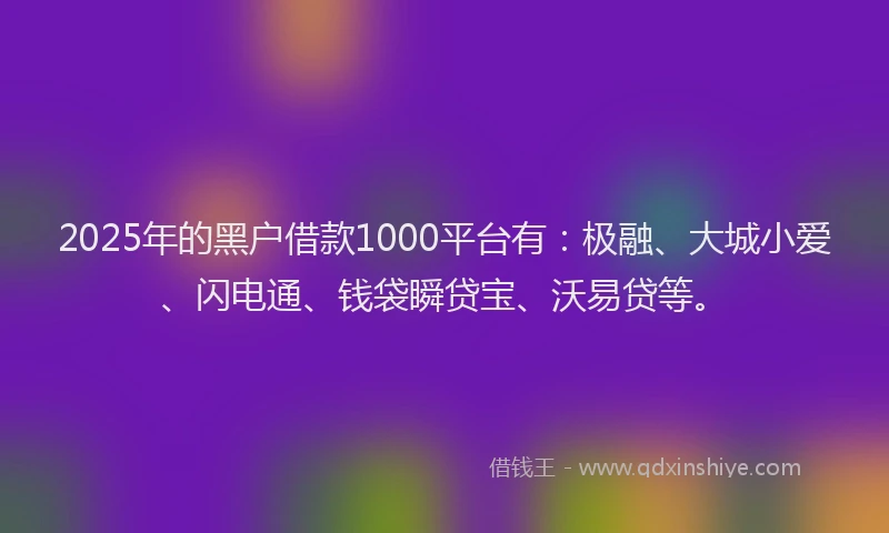 2025年的黑户借款1000平台有：极融、大城小爱、闪电通、钱袋瞬贷宝、沃易贷等。