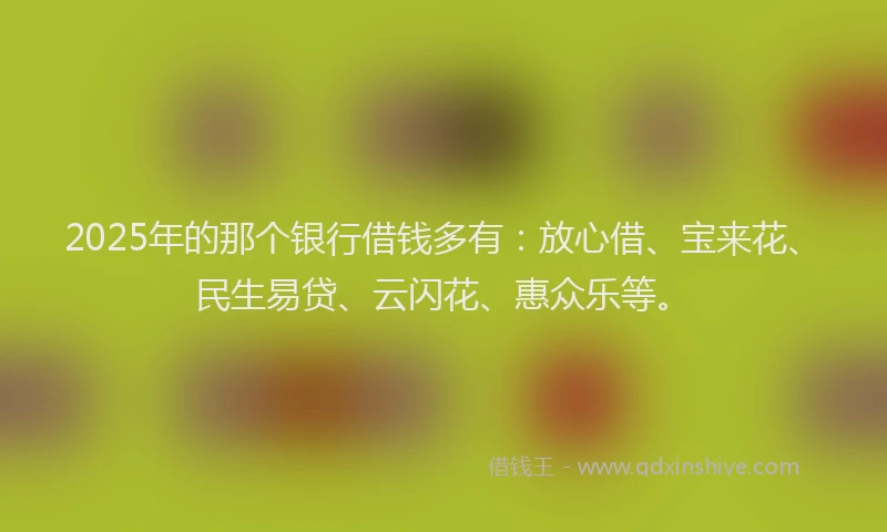 2025年的那个银行借钱多有：放心借、宝来花、民生易贷、云闪花、惠众乐等。
