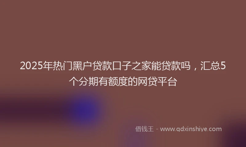 2025年热门黑户贷款口子之家能贷款吗，汇总5个分期有额度的网贷平台