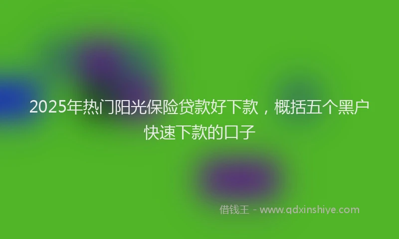 2025年热门阳光保险贷款好下款，概括五个黑户快速下款的口子