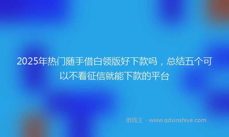 2025年热门随手借白领版好下款吗，总结五个可以不看征信就能下款的平台