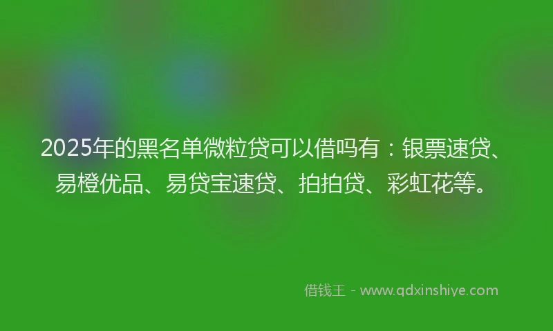 2025年的黑名单微粒贷可以借吗有：银票速贷、易橙优品、易贷宝速贷、拍拍贷、彩虹花等。