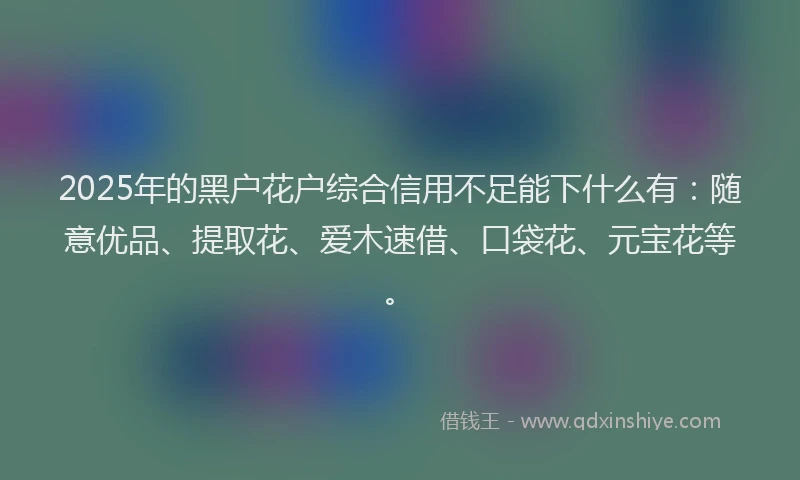 2025年的黑户花户综合信用不足能下什么有：随意优品、提取花、爱木速借、口袋花、元宝花等。