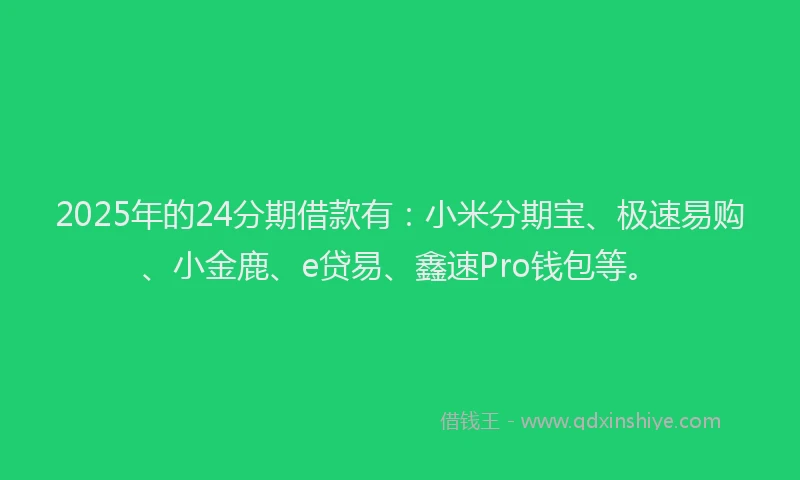 2025年的24分期借款有：小米分期宝、极速易购、小金鹿、e贷易、鑫速Pro钱包等。
