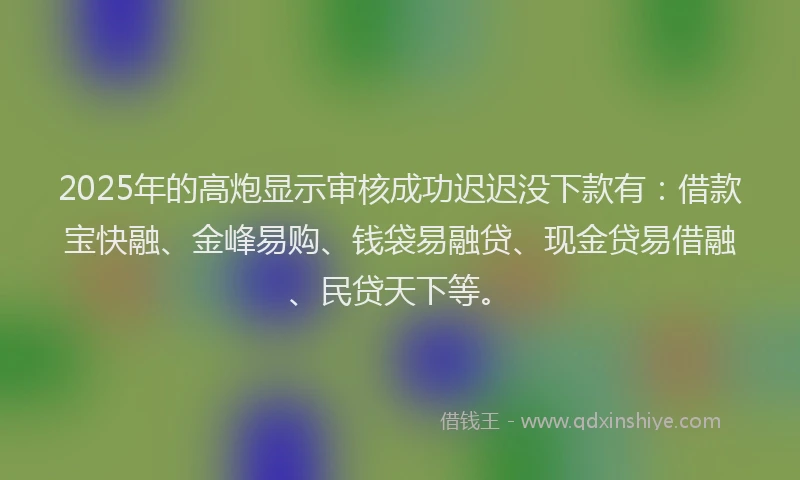 2025年的高炮显示审核成功迟迟没下款有：借款宝快融、金峰易购、钱袋易融贷、现金贷易借融、民贷天下等。