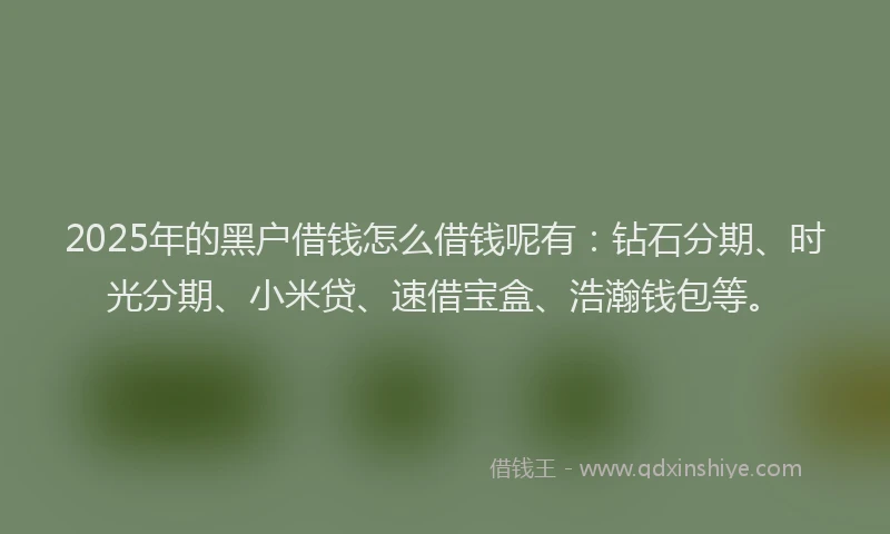 2025年的黑户借钱怎么借钱呢有：钻石分期、时光分期、小米贷、速借宝盒、浩瀚钱包等。