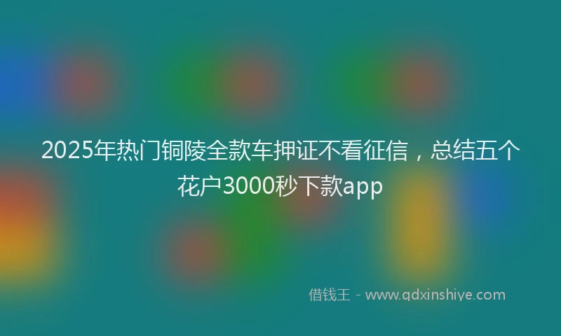 2025年热门铜陵全款车押证不看征信，总结五个花户3000秒下款app