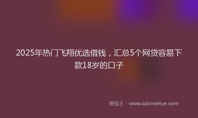2025年热门飞翔优选借钱，汇总5个网贷容易下款18岁的口子