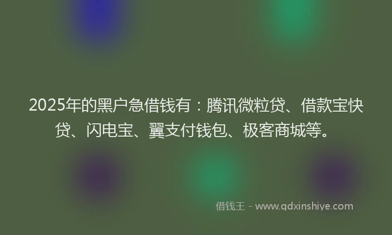 2025年的黑户急借钱有：腾讯微粒贷、借款宝快贷、闪电宝、翼支付钱包、极客商城等。