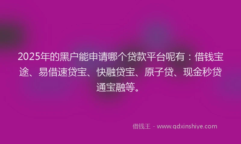 2025年的黑户能申请哪个贷款平台呢有：借钱宝途、易借速贷宝、快融贷宝、原子贷、现金秒贷通宝融等。