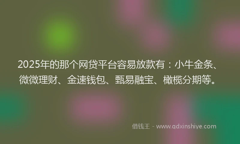 2025年的那个网贷平台容易放款有：小牛金条、微微理财、金速钱包、甄易融宝、橄榄分期等。