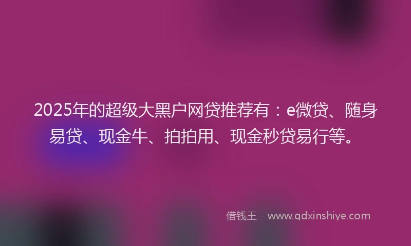 2025年的超级大黑户网贷推荐有：e微贷、随身易贷、现金牛、拍拍用、现金秒贷易行等。