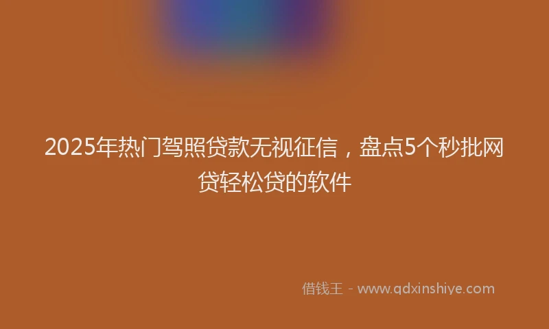 2025年热门驾照贷款无视征信，盘点5个秒批网贷轻松贷的软件