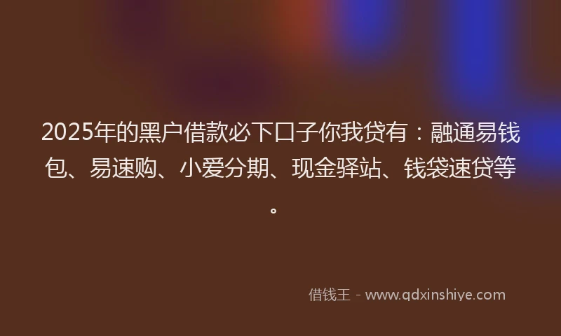 2025年的黑户借款必下口子你我贷有：融通易钱包、易速购、小爱分期、现金驿站、钱袋速贷等。