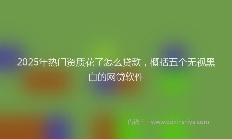 2025年热门资质花了怎么贷款，概括五个无视黑白的网贷软件