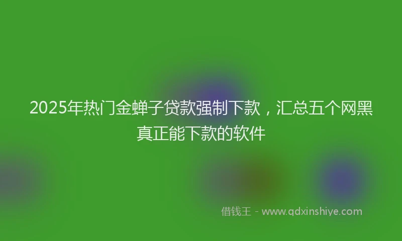 2025年热门金蝉子贷款强制下款，汇总五个网黑真正能下款的软件