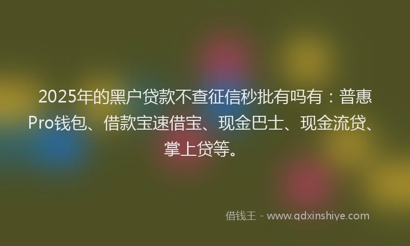 2025年的黑户贷款不查征信秒批有吗有：普惠Pro钱包、借款宝速借宝、现金巴士、现金流贷、掌上贷等。