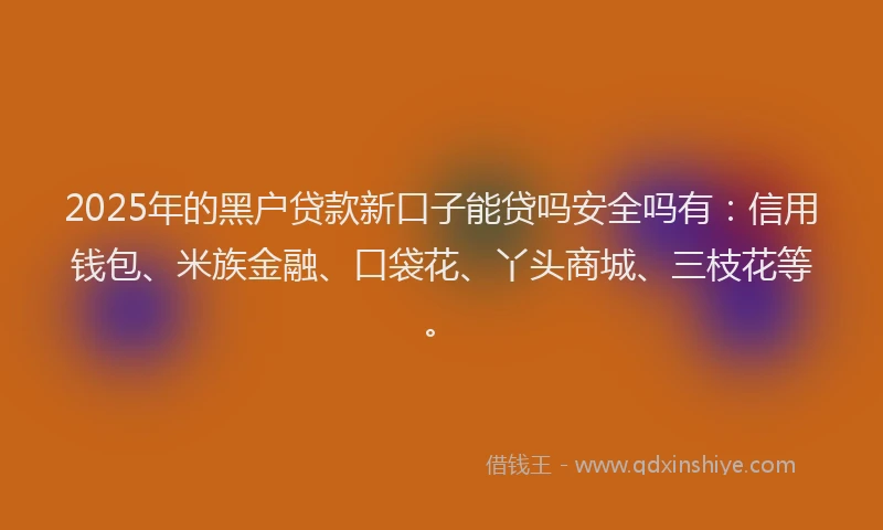 2025年的黑户贷款新口子能贷吗安全吗有：信用钱包、米族金融、口袋花、丫头商城、三枝花等。
