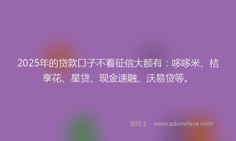 2025年的贷款口子不看征信大额有：哆哆米、桔享花、星贷、现金速融、沃易贷等。