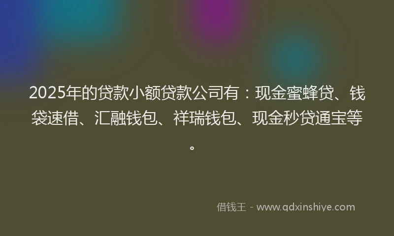 2025年的贷款小额贷款公司有：现金蜜蜂贷、钱袋速借、汇融钱包、祥瑞钱包、现金秒贷通宝等。