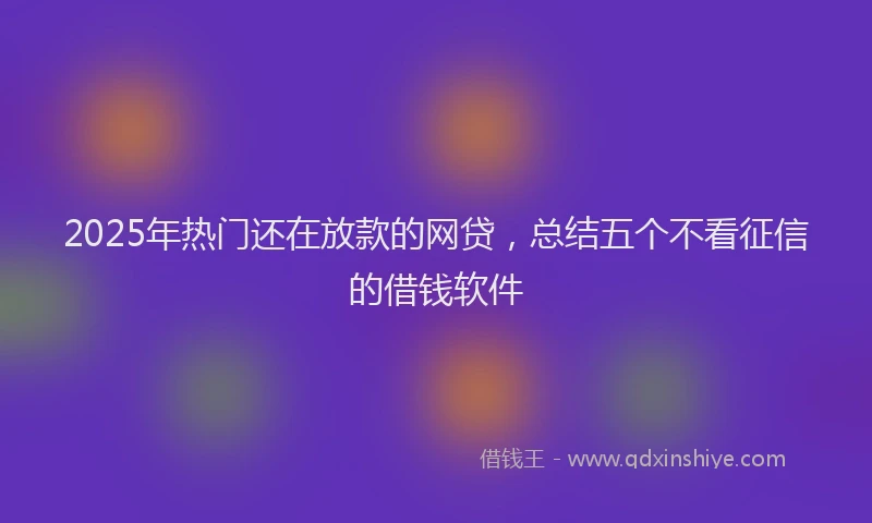2025年热门还在放款的网贷，总结五个不看征信的借钱软件