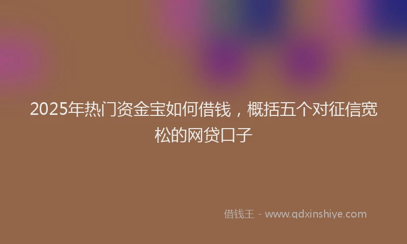 2025年热门资金宝如何借钱，概括五个对征信宽松的网贷口子