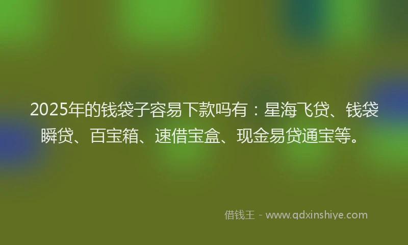 2025年的钱袋子容易下款吗有：星海飞贷、钱袋瞬贷、百宝箱、速借宝盒、现金易贷通宝等。