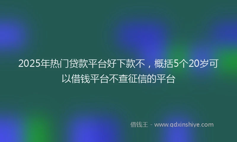 2025年热门贷款平台好下款不，概括5个20岁可以借钱平台不查征信的平台